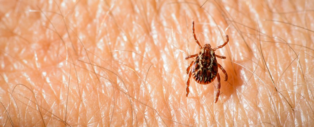 This 5-Year-Old Kid Got The Scariest Tick Bite Side-Effect We've Ever Heard Of 3