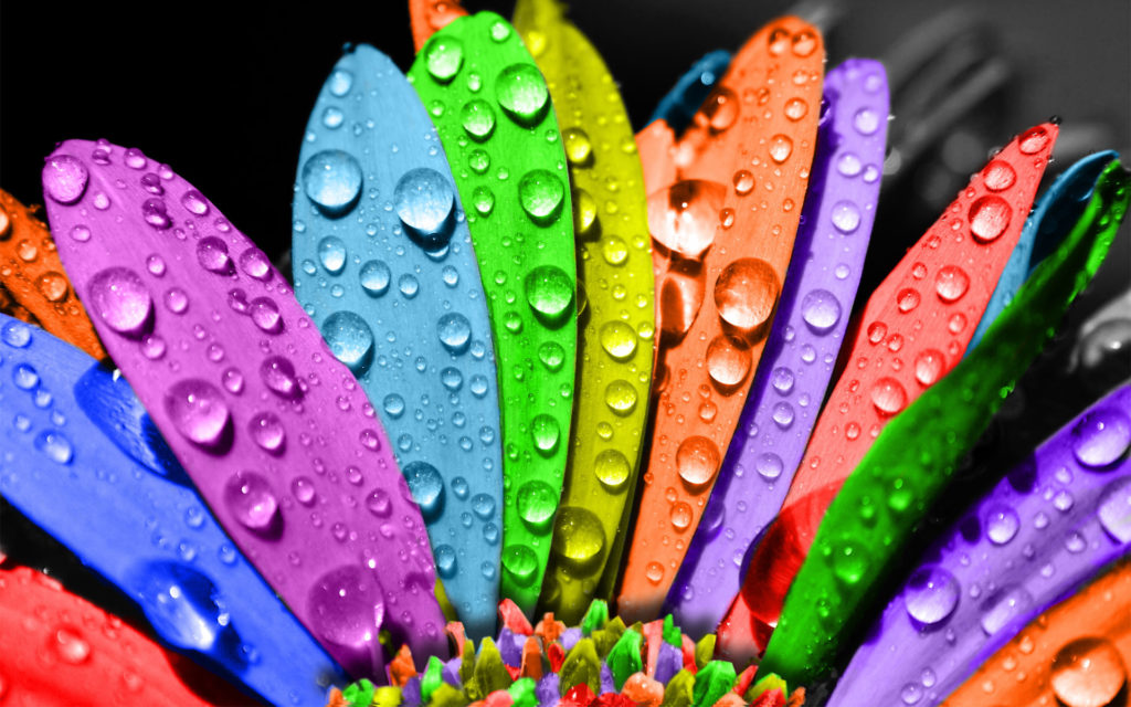 Colors That Heal a Broken Heart 7