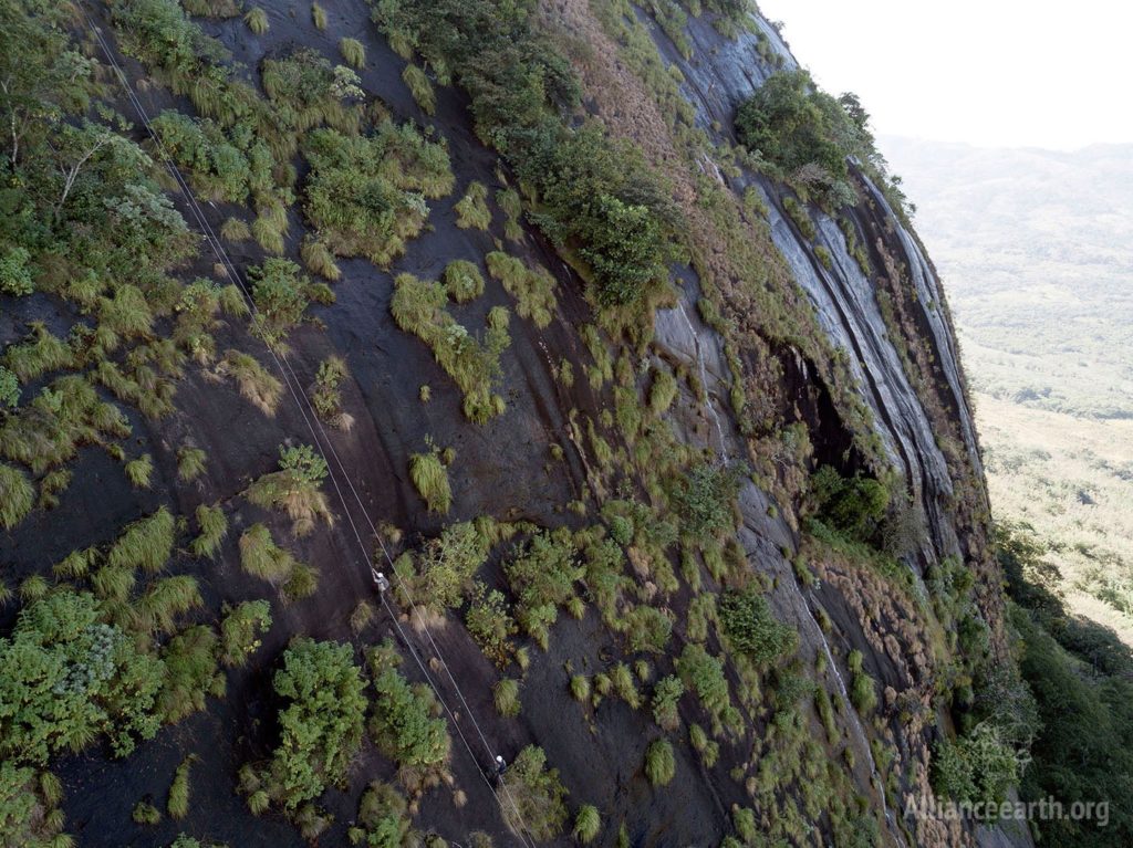 Photos of an Incredible Secret Rainforest Hidden in The Heart of Africa - 1