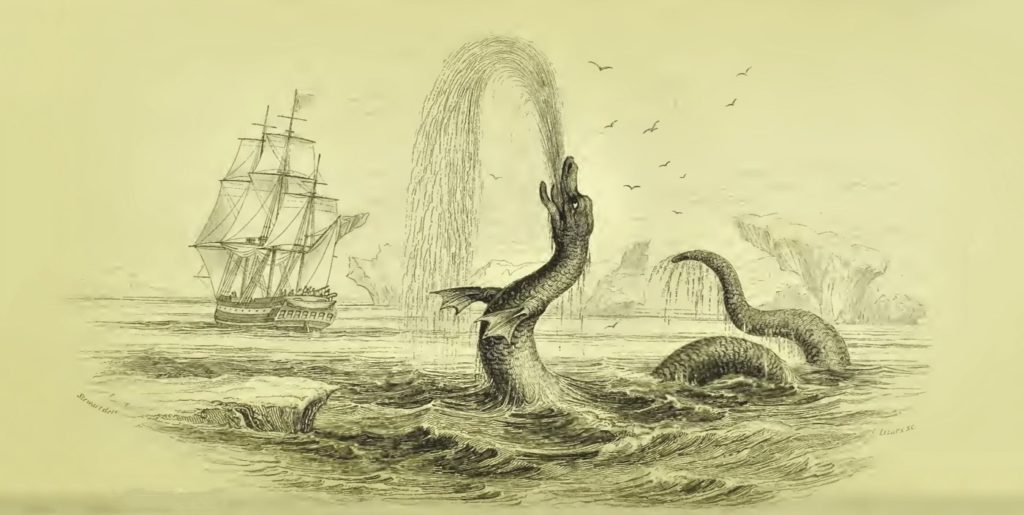 This Famous Sea Serpent Story Might Actually Have Been a Sighting of a Whale Penis 9