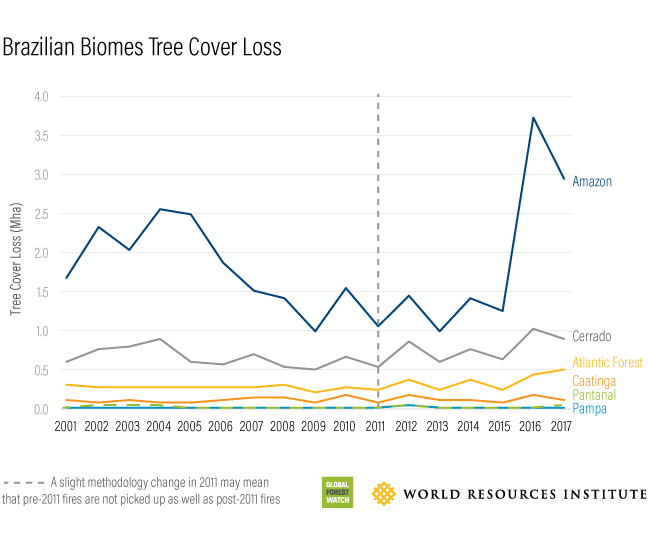 The world lost an area of tropical forest the size of Bangladesh in 2017 33