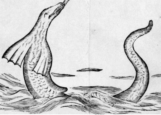 Sea serpent as depicted in Egede book