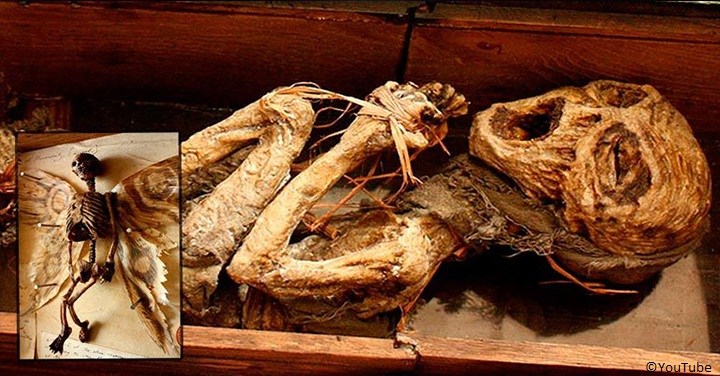 Bodies Of Mythical Creatures Unearthed In A Mysterious British Mansion 1