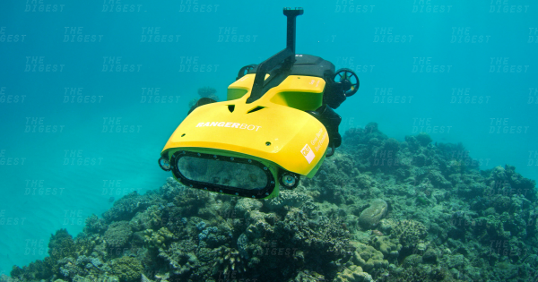 This Autonomous Drone Is Ready to Defend the Great Barrier Reef From Predators 15