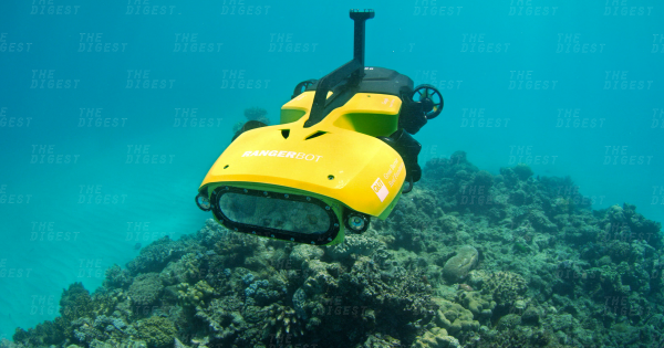 This Autonomous Drone Is Ready to Defend the Great Barrier Reef From Predators 16