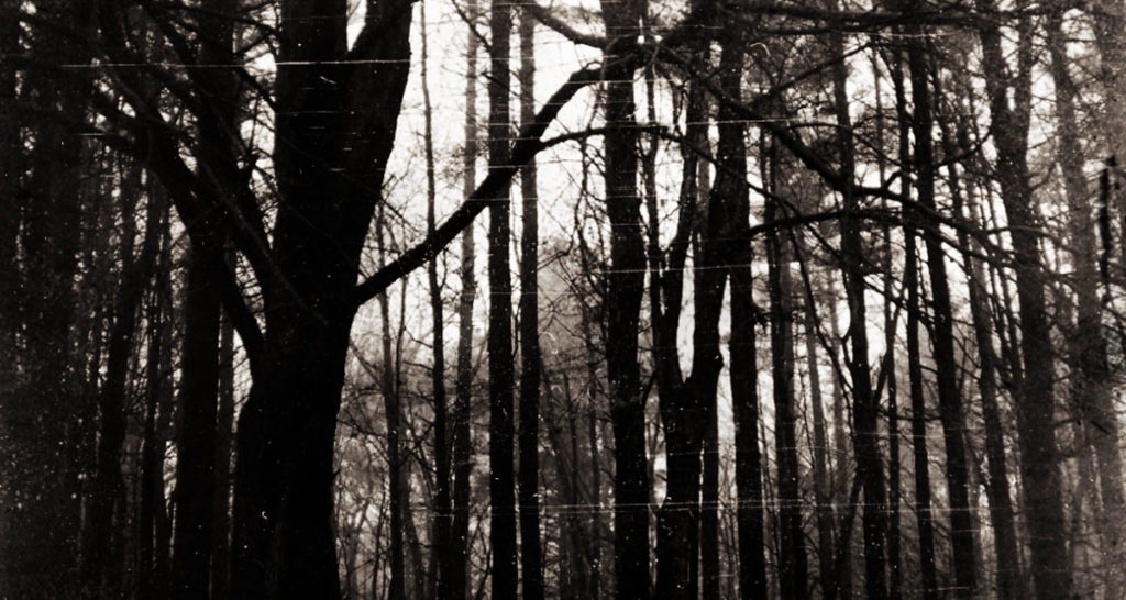 Occult rituals in the backwoods of Wisconsin 1