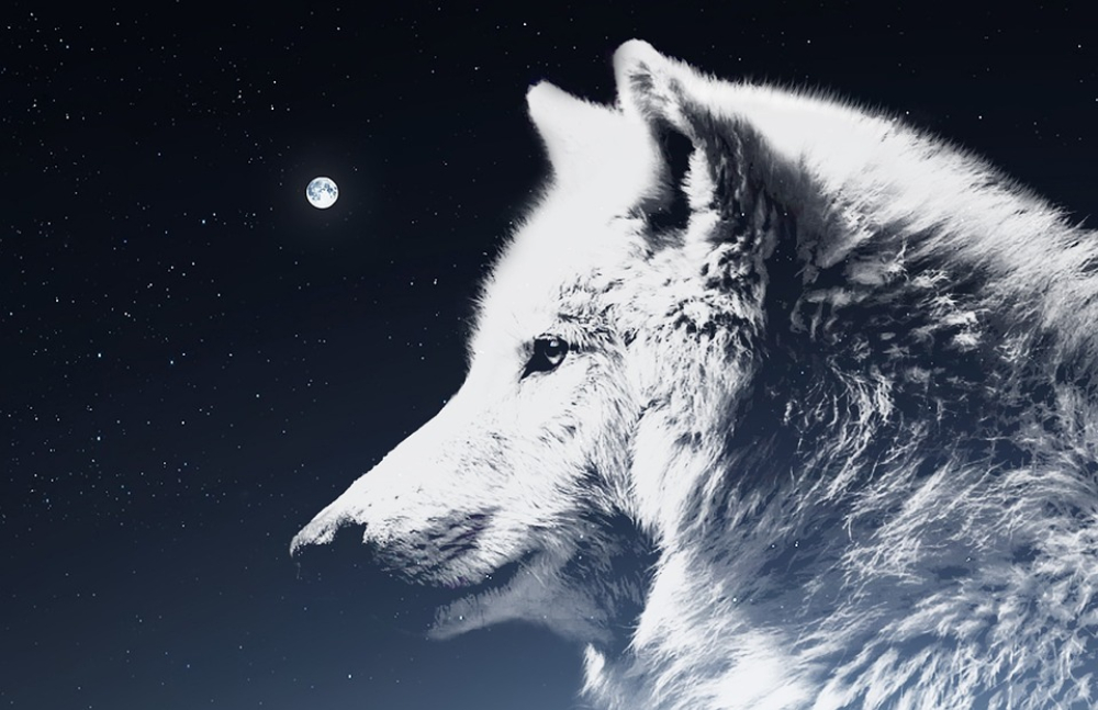 Descended From The Wolf? Myths And Traditional Beliefs 27