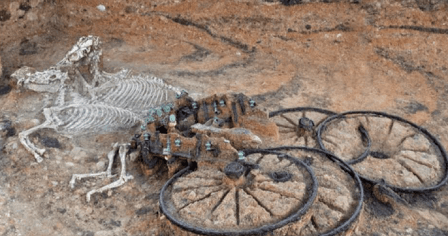 2,500-Year-Old Chariot Found – Complete with Rider And Horses 8