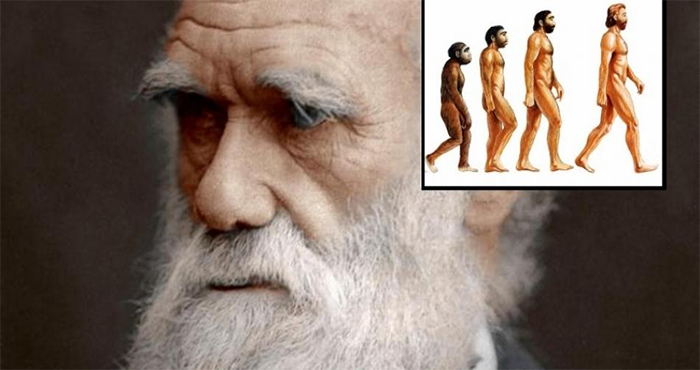A Group Of 500+ Scientists Publishes Why They Reject Darwin's Theory of Evolution 16