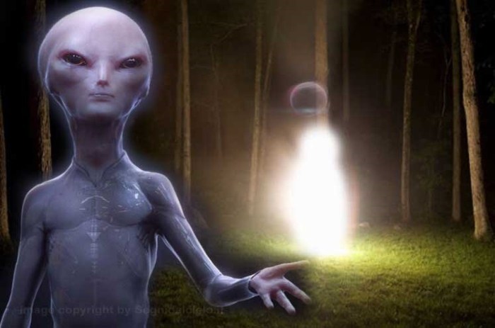 The MUFON World UFO Center receives a strange report from an "Extraterrestrial Entity" 1