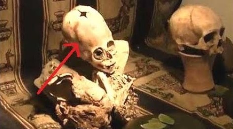 WikiLeaks Shares Email That Uncovers Knowledge Of Extraterrestrials In Vatican 1
