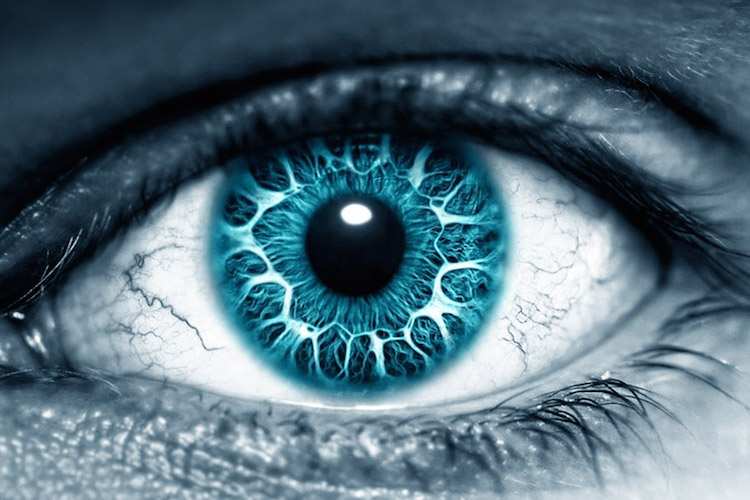 Five Counterintuitive Traits of Highly Evolved Humans 9