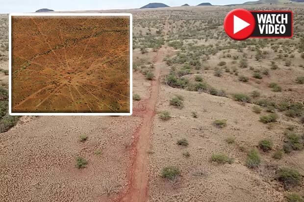 Mysterious three-mile wide ‘star map dating back 150,0000 YEARS’ found in Hawaii 17