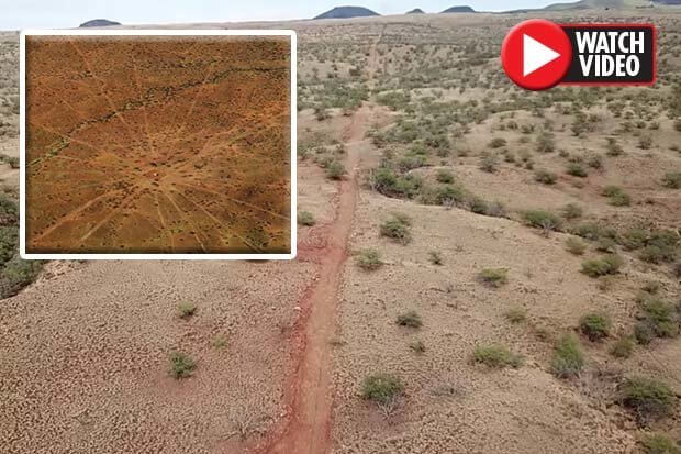 Mysterious three-mile wide ‘star map dating back 150,0000 YEARS’ found in Hawaii 17