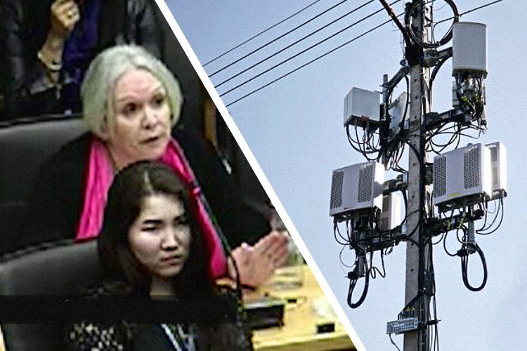 UN Staffer Warns that 5G is a 'War on Humanity' 3