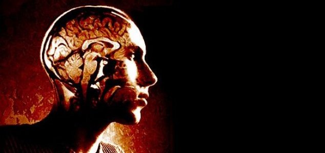 The human brain retrieves memories backwards 11