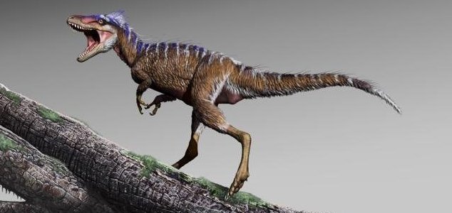 Miniature Tyrannosaurus rex discovered 1