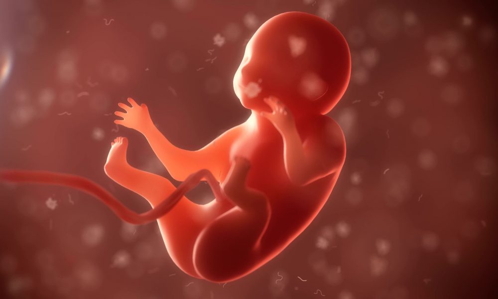 Do We ‘Exist’ Before We Are Born? A Woman Who Remembers Shares Her Story 107