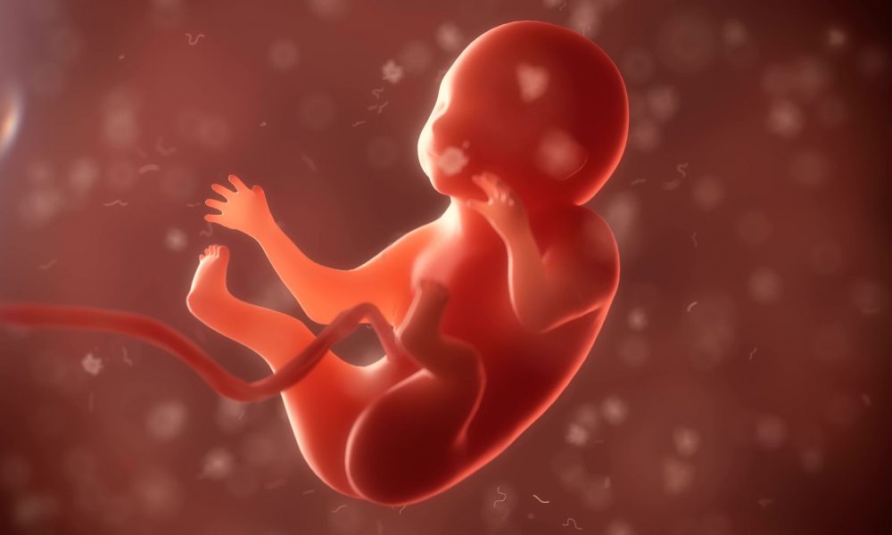 Do We ‘Exist’ Before We Are Born? A Woman Who Remembers Shares Her Story 21