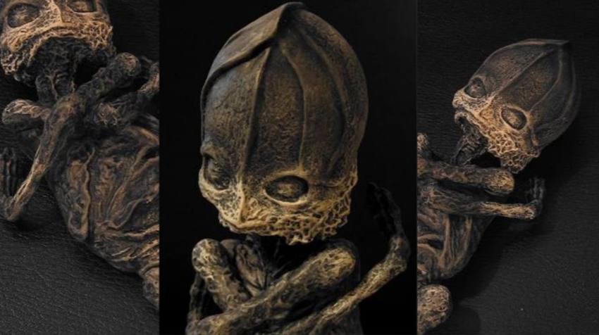 The Kyshtym Being: Dwarf, Alien or What Was That Creature? 1
