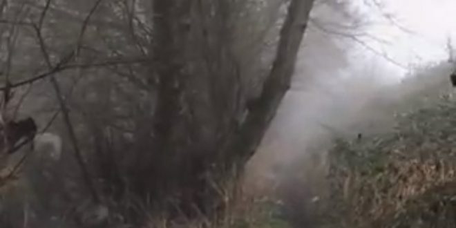 Ghost caught on camera at eerie footpath in Essex, UK 1