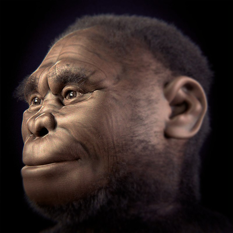 Previously Unknown Human Relative Found On Philippine Island