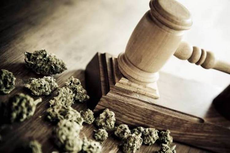 Los Angeles and Chicago Are Readying to Erase 68,000 Nonviolent Marijuana Convictions 1