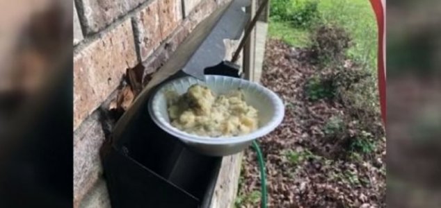 Mashed potato mystery endures in Mississippi 1