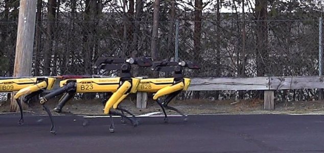 10 robotic dogs pull truck along in new video 1