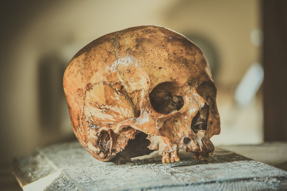 Previously Unknown Human Relative Found On Philippine Island 9