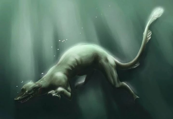 Dobhar-Chu – Cryptid Irish Water Hound? 39