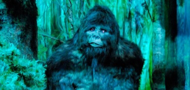 Man tells cops Bigfoot attacked him with an axe 21