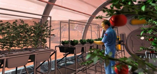 Humans on Mars could become a new species 11