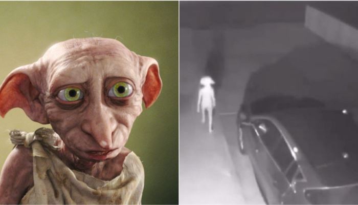 creature like an Elf