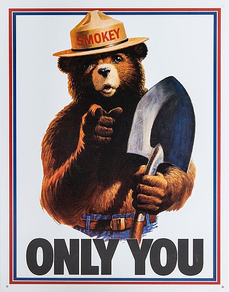 Only You, Smokey and Bigfoot Can Prevent Forest Fires 10