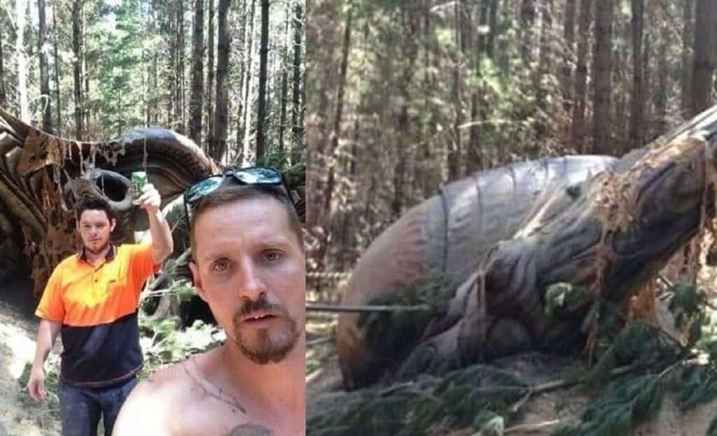Photographs Of A Supposed Alien Ship Dropped in Australia 7