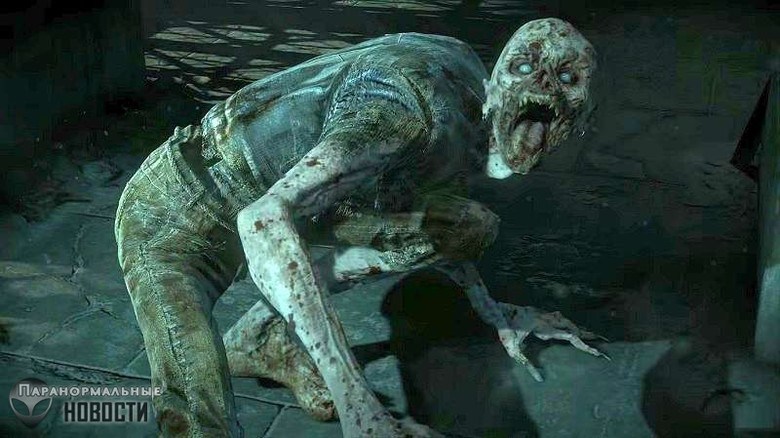 Wendigo Sighting: The Indian Case and the attack in Canada 17