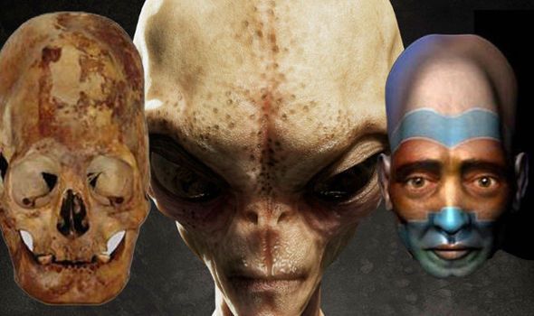 Prehistoric aliens in Malta? Elongated skulls found in an underground temple will be analyzed 24