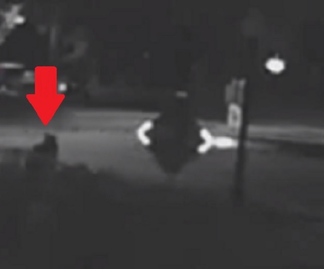 CCTV Footage Captures Mysterious Humanoid Figure Materializing At Night 2