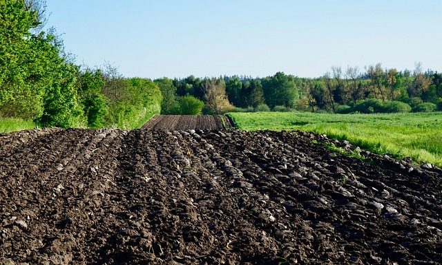 World’s Worst Crop Circle Makers Arrested in Alabama 3