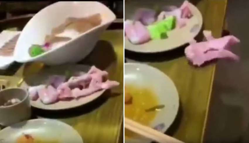 A video shows a piece of raw zombie meat crawling out of a plate 18