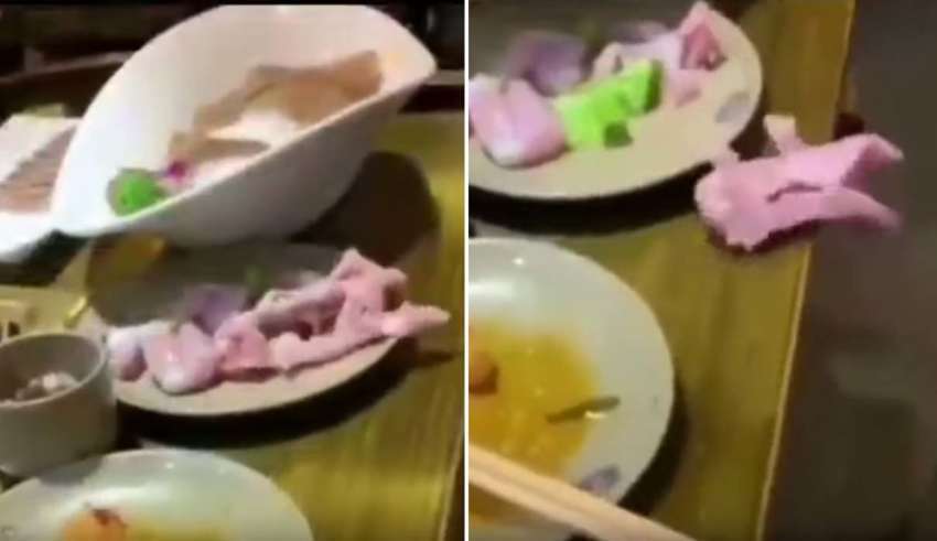 A video shows a piece of raw zombie meat crawling out of a plate 19