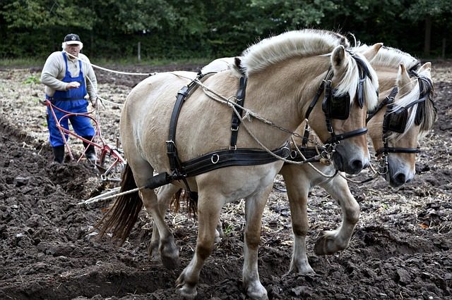 World’s Worst Crop Circle Makers Arrested in Alabama 7