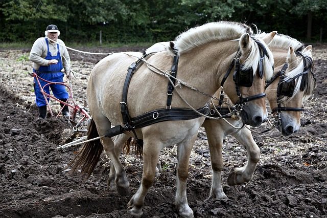 World’s Worst Crop Circle Makers Arrested in Alabama 1