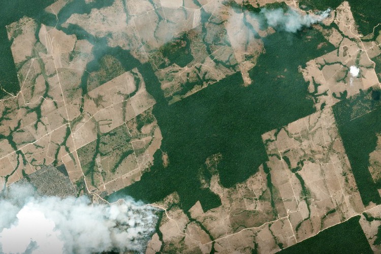 Satellite Images Reveal Devastating Amazon Fires in Almost Real-Time 1