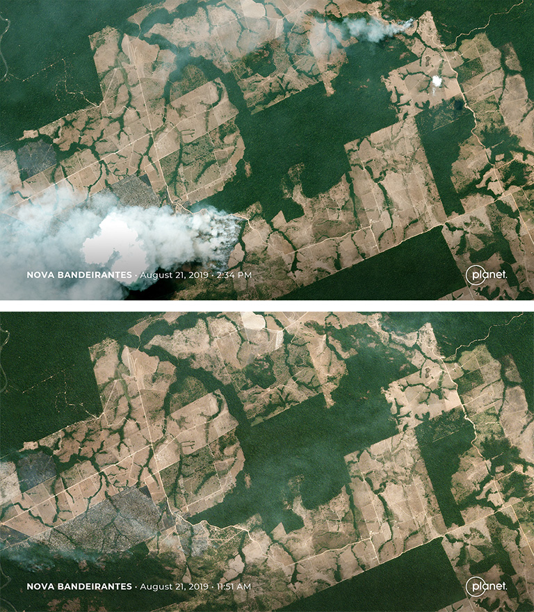 Satellite Images Reveal Devastating Amazon Fires in Almost Real-Time 24