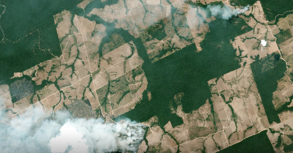 Satellite Images Reveal Devastating Amazon Fires in Almost Real-Time 20