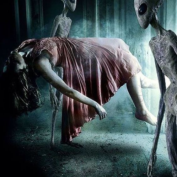 Reptile Abduction: the terrifying case lived by a witness 9