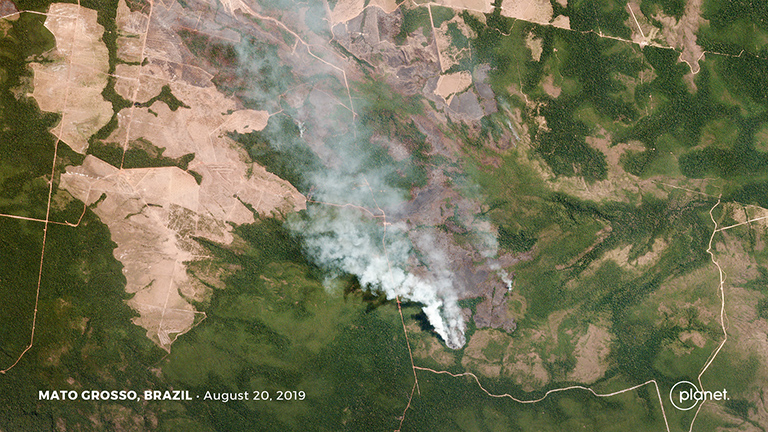 Satellite Images Reveal Devastating Amazon Fires in Almost Real-Time 21