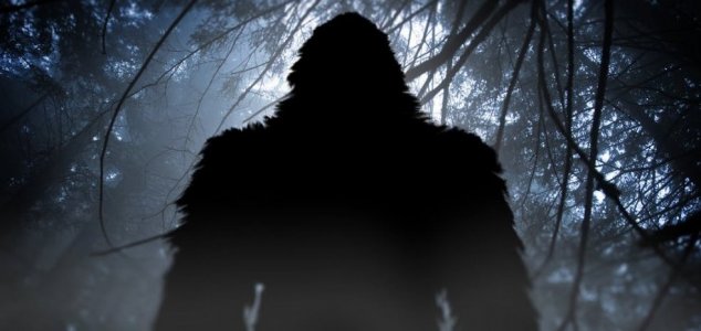 Mystery primate terrorizes Texas residents 25